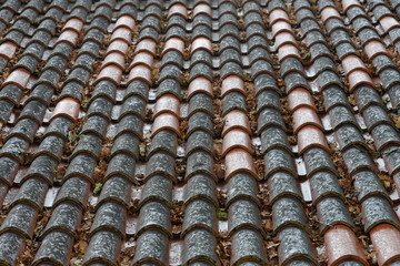rows of wet tiles on the roof of a house close up, background, texture
