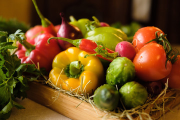Group of fresh vegetables and herbs in wooden box on wooden background. Cucumber, paprika, pepper, cucumber, tomato and herbs. Harvest and healthy organic food concept
