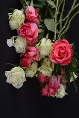 Bukiet róż - biało - różowych - wiosenny