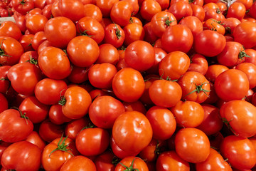 Fototapeta na wymiar Lots of fresh and ripe tomatoes. Background of tomato