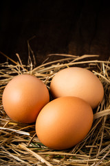 Fresh brown eggs in a nest was placed on a wooden table. Have copyspace to enter text. Useful for health and easy to find according to the supermarket.