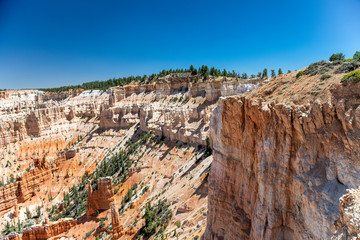 Bryce Canyon National park landscape in summer