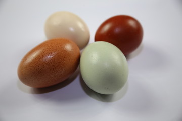 Farbige Eier aus der Natur