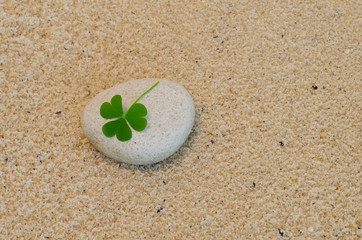 A clover leaf arranged on a beach pebble with beach sand in the background.