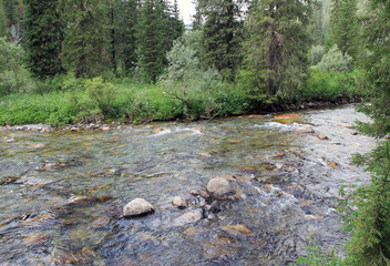 The mountain stone river in the forest.