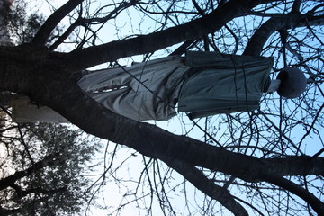 a scarecrow hanging from a tree's neck.