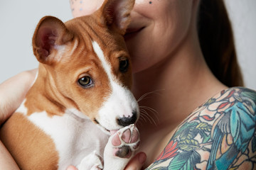 Portrait of a cute tattooed beautiful woman hugging and kissing her little puppy basenji dog. Love between dog and owner. Isolated over white background