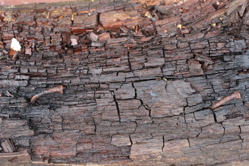 texture of old wall