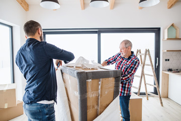 A senior man helping his son with furnishing new house, a new home concept.