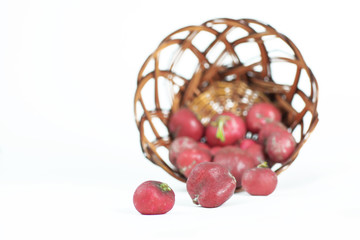 Fresh garden radish in wicker basket. Selective focus