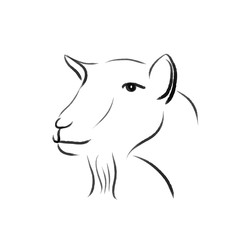 goat line illustration