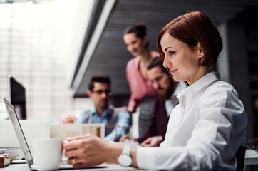 A young businesswoman working in office, using laptop.