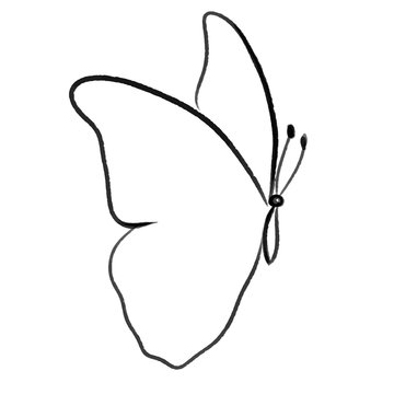 vector butterfly line illustration 