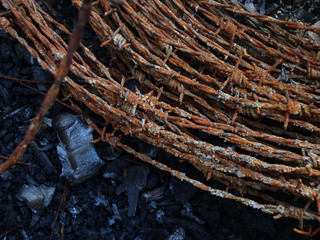 texture of a rusty barbed wire