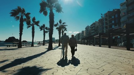 Elderly couple walking on seafront promenade. Back view senior couple - Powered by Adobe