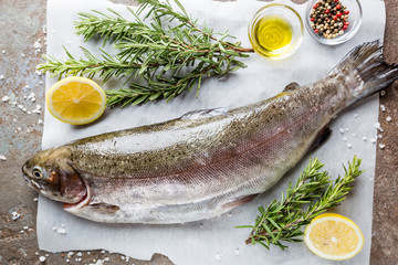 Raw trout fish on paper with rosemary and lemon on a stone table, top view