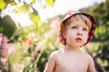 Small boy with a hat standing outdoors in garden in summer. Copy space.