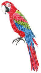 Big tropical wild Ara parrot. Hand drawn watercolor illustration.