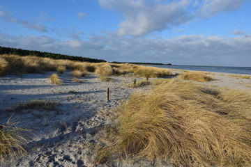 D&uuml;nen am Dar&szlig;