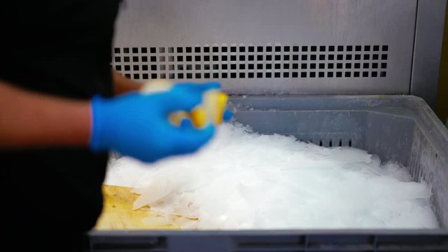 Ice machine for frozen fresh Sea Fish. Crushed Ice. Fish industry. Seafood market.
