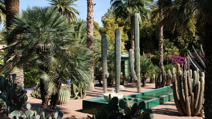 Tropicale