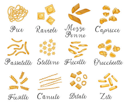 Hand drawn large set of different types of Italian pasta. Vector illustration, colored.