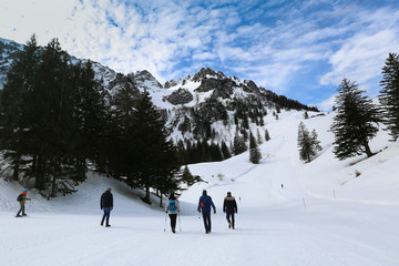 Schneelandschaft in den Alpen