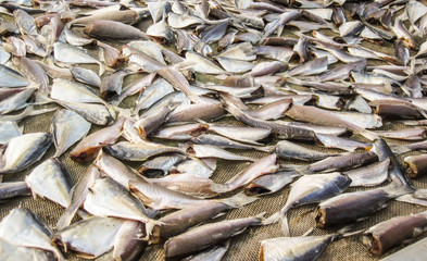 Close up of group of salty dried fish .