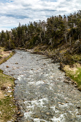 Portland creek to the St. Larence Seaway, Bellbuns, Newfoundland, Canada