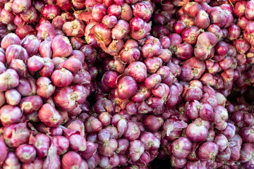 Shallot, the reddish purple skin and white flesh gives a mild, sweet flavor to many a spicy cooking of Thai meals. They are tied up in group for selling at a product stall, background blurred.