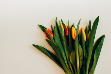Bunch of Spring tulip flowers in pink tones . Flat lay. Waiting for spring. Happy Easter card. Top view. Flower Tulip .Spring or summer background with copy space for text. Vintage tone or pink tone.