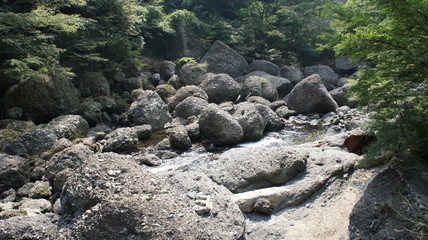 Fototapeta premium Japan's famous waterfall