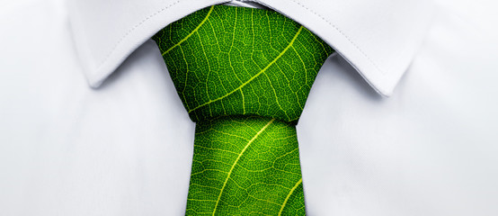 Ecology concept, business man with green leaf tie