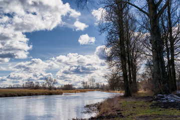 Rzeka Supraśl i Narew. Złotoria nad Narwią. Wiosna w dolinie Narwi i Supraśli. Podlasie, Polska © podlaski49
