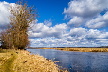 Rzeka Supraśl i Narew. Złotoria nad Narwią. Wiosna w dolinie Narwi i Supraśli. Podlasie, Polska © podlaski49