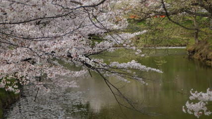 castle park Historic site