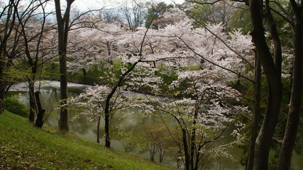 castle park Historic site