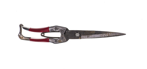 vintage shoe scissors on a white background