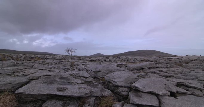 Burren Ireland limestone stone karst landscape lone tree panorama