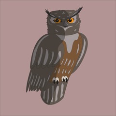 owl isolated character illustration