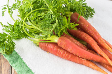 Pink fresh organic carrots.