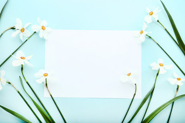 White narcissus flowers with blank sheet of paper on blue background