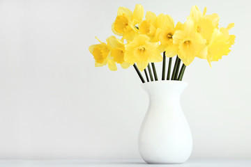 Yellow narcissus flowers in vase on grey background