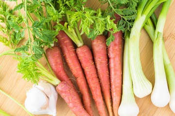 Pink fresh organic carrots, green onion, cilantro.