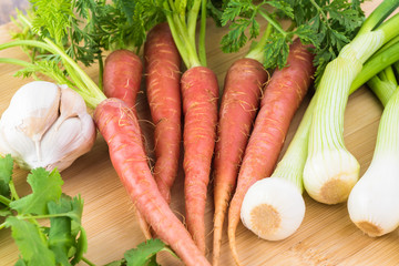 Pink fresh organic carrots, green onion, cilantro.