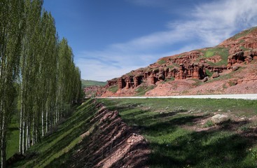 flowering meadows and village landscapes.savsat/artvin/turkey 