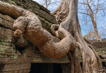 Palaces and temples of ancient Angkor