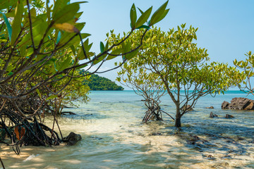 paradise coast of the sea, relax
