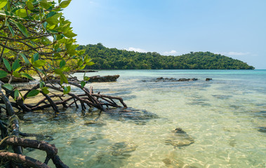 paradise coast of the sea, relax