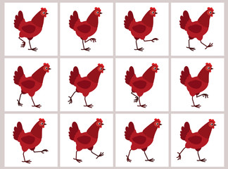 Walking red hen animation sprite sheet isolated on white background
